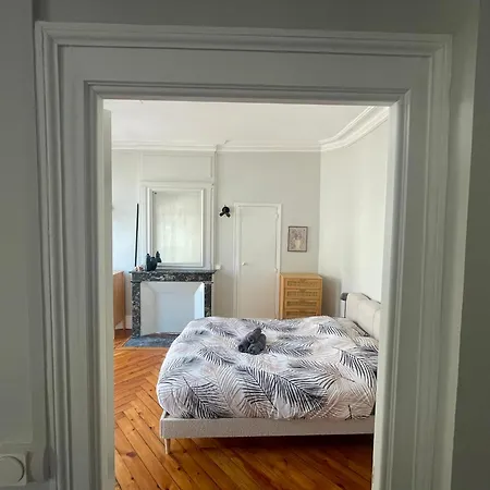 Le Balcon Saint-amand - 458 公寓 *