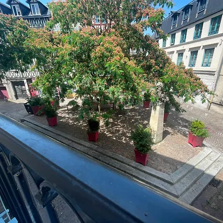 公寓 Le Balcon Saint-amand - 458 *