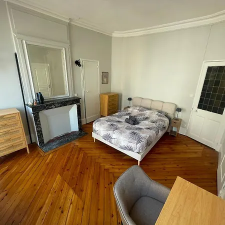 Le Balcon Saint-amand - 458 公寓