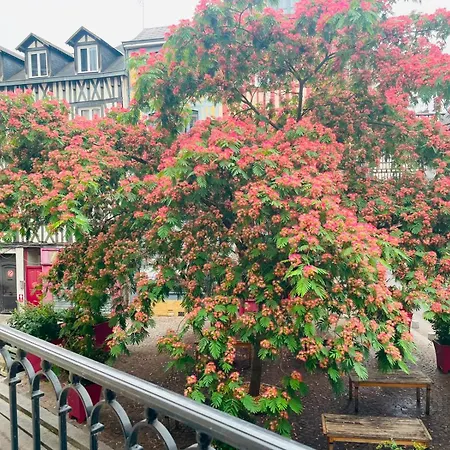 Le Balcon Saint-amand - 458 * 鲁昂