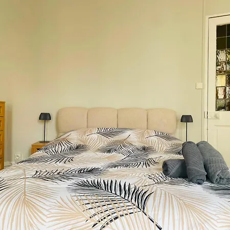 Le Balcon Saint-amand - 458 公寓 *