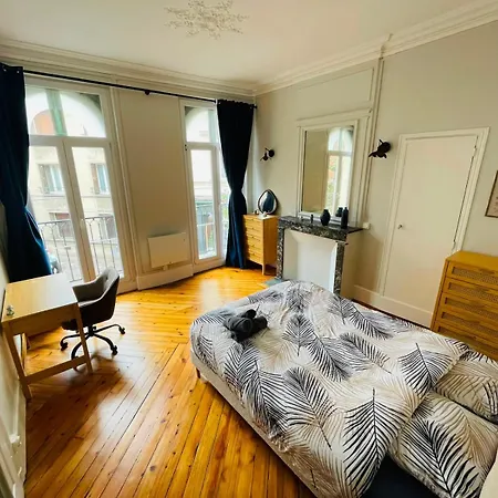 Le Balcon Saint-amand - 458 公寓 *